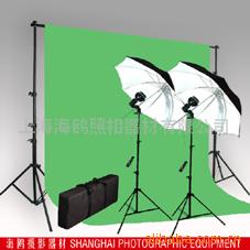 摄影照相器材50W2电子伞灯2黑白伞绿背景套装